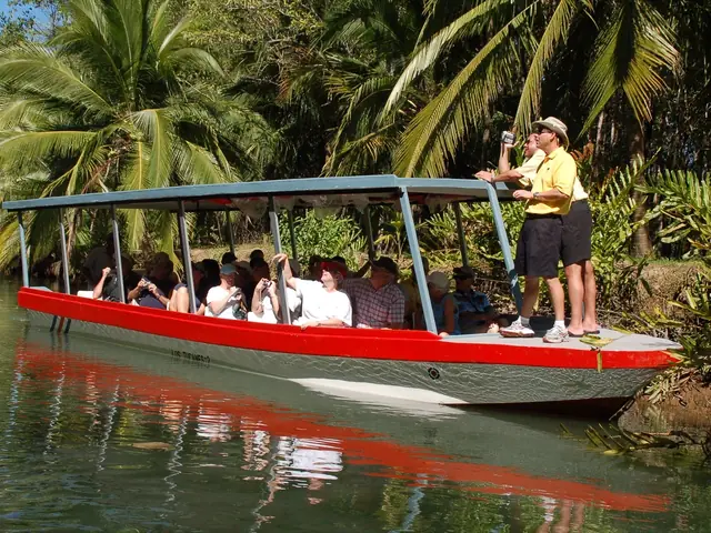 Guests on a covered boat in the Isla Damas mangroves